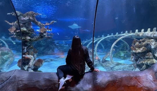 Sea Life Arizona Aquarium Tempe